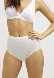 Брифы Hanro WOOLEN SILK , Cygne/Off-White