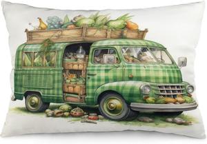 MaSiledy Наволочка Green Plaid Truck с Egg , двусторонняя печать Pattern-9