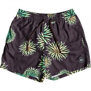 Плавки-Шорты Sunburst 16 Quiksilver, черный