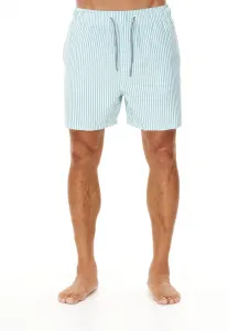 Купальные шорты CRUZ "Kenny" с классическим полосатым узором, зеленый