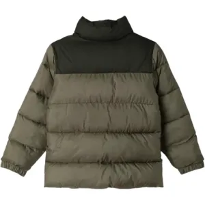 Детская утепленная куртка с воротником стойкой Columbia, stone зеленый