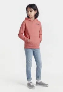 Толстовка с капюшоном Abercrombie & Fitch, Dusty Rose