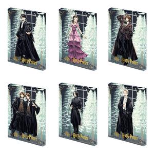 Коллекция Гала Гарри Поттер мистические боксы одиночный мистический бокс/полный бокс 6 шт POP MART
