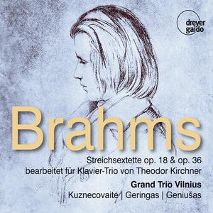 CD диск Brahms / Kirchner / Grand Trio Vilnius: String Sextets Opp. 18 & 36 Arr. For Piano By