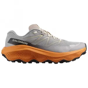 Кроссовки Salomon Ultra Flow 2 Goretex trail, серый