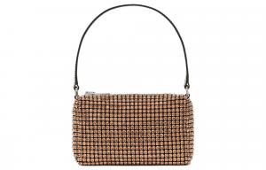 Средняя мини-сумка наследницы Alexander Wang