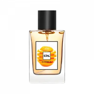 Духи с долговременным ароматом tea accord eau de parfum edp 50 мл CIA