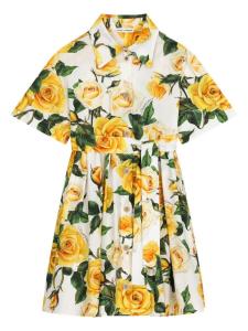 Dolce & Gabbana платье-рубашка с цветочным принтом, нейтральный цвет