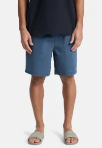 Шорты налогоплательщика Quiksilver, Dark Navy