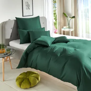 Наволочка Dream Sleep Uni Lyocell Lyocell Bedding (односпальная) 40x80 см, ель Traumschlaf