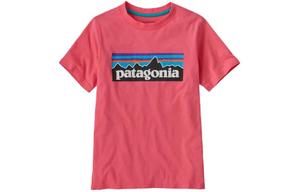 Футболка Patagonia P 6 Logo NCTY Детская