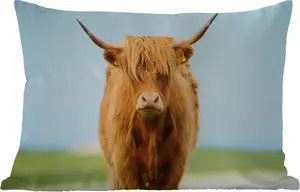 Подушка для улицы - Шотландский высокогорный скот - Шерсть - Трава - 60 x 40 см - Водонепроницаемая - Подушка для отдыха - Декоративная подушка - Подушка для дома MuchoWow