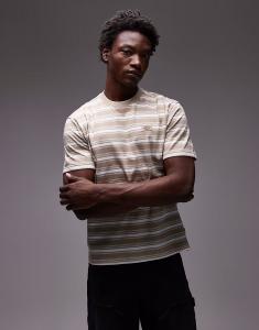 Футболка Stevensville в полоску светло-коричневого цвета Dickies