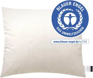 Подушка Billerbeck E14 Greta 70х90 см, цвет champagner