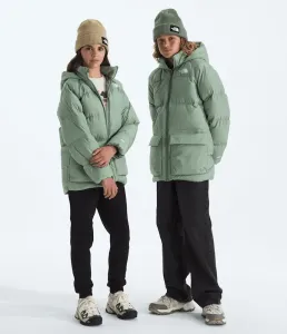 Короткая парка North Down с флисовой подкладкой для мальчиков и девочек The North Face, Slate Moss