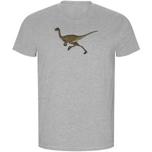 Футболка с коротким рукавом Kruskis Dino Run ECO, серый