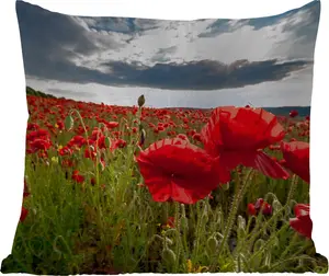 Подушка для улицы - Маки на фоне драматичного грозового неба - 50x50 см - Устойчива к погодным условиям - Подушка для отдыха - Удобная - Подушка с изображением MuchoWow
