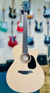 Furch Electro Violet CGSM LR B1