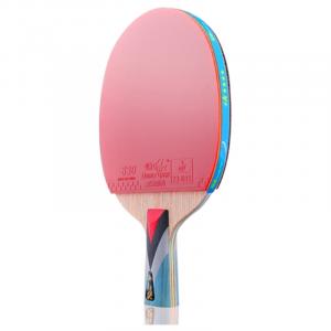 Ракетка для пинг-понга DOUBLE FISH, new 4-star upgraded, penhold grip short handle