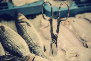 Arcos Serie Forged, кухонные ножницы, 6 шт, лезвие из кованой нержавеющей стали 225 мм, рукоятка ABS и нержавеющая сталь, серебристый