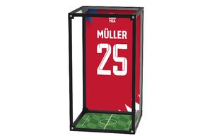 Фигурки в масштабе AcePlayer