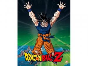 Линзовидный 3D-плакат Pyramid International Dragon Ball Z в коробке (дизайн Super Saiyan Goku), 25 см x 20 см x 1,3 см - официальный товар Inna marka