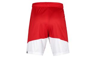 Мужские спортивные шорты Nike красно-белые