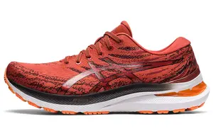 Asics Gel-Kayano 29 Кроссовки Мужчины