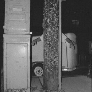 Виниловая пластинка Paper Tiger: All Over The Place