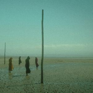 CD диск Devils Witches: In All Her Forms