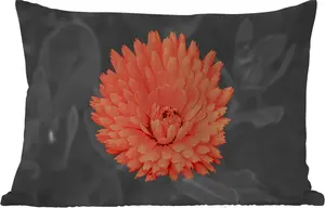 Подушка для улицы - с цветочным рисунком - оранжевая - черная - белая - 50x30 см - водонепроницаемая - подушка для отдыха - подушка для дивана - украшение для гостиной MuchoWow