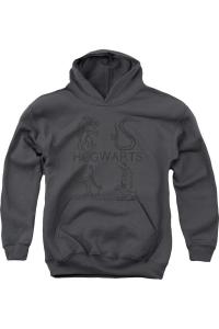 Худи с гербами из книг о Гарри Поттере для молодежи Gildan, Charcoal