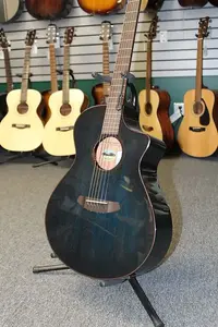 Акустико-электрогитара Breedlove Rainforest - Papillon