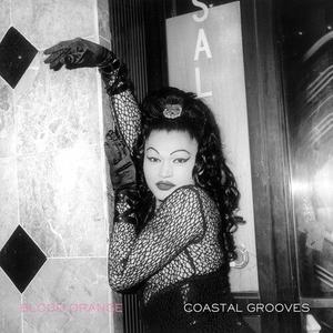 Виниловая пластинка Blood Orange: Coastal Grooves