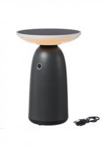 Светодиодная настольная лампа на солнечной батарее, 3 уровня яркости, высота: 22 см, серая MARELIDA