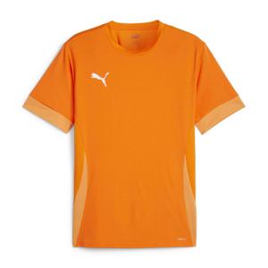 Мужская футболка Puma teamGOAL Matchday Jersey 705747