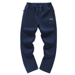 Повседневные брюки мужские утепленные прямого кроя Jeep, темно-синий