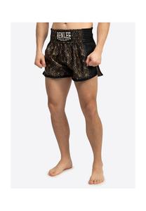 Штаны для тайского бокса goldstone Benlee, мультиколор