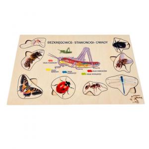 Насекомые, деревянный пазл, интересные факты о насекомых, биологическая помощь. Inna marka