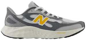 Кроссовки New Balance Fresh Foam Arishi v4 Tiralux 'Castlerock Raincloud', серый