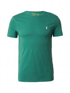Polo Ralph Lauren Поло Regular fit в зеленом цвете