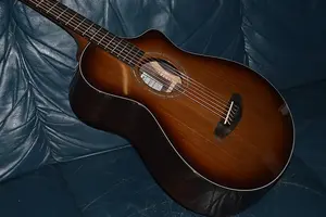 Breedlove Premier Concertina Edgeburst CE 2025 - глянцевый натуральный