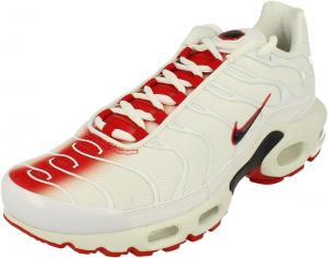 Кроссовки для бега Nike Air Max Plus Mens Fn3410, White