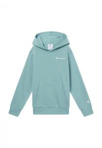 Толстовка Champion Authentic Athletic Apparel, зеленый