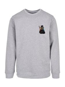 Свитер F4NT4STIC Sweatshirt Wizard Cat, серый