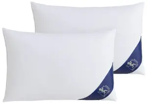 Пуховая подушка SPESSARTTRAUM "ПЕРВЫЙ КЛАСС" 50х50 см, белый