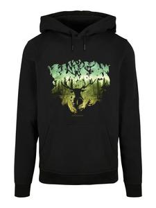 Пуловер F4NT4STIC Basic Harry Potter Magical Forest, черный