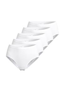 Трусы макси, набор из 5 шт., на каждый день SPEIDEL