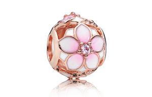 Pandora Шармы / подвески для женщин Multicolor