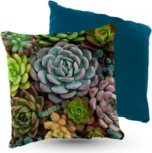 Подушка велюровая PREMIUM с суккулентами, 40х40 см, декоративная с наполнителем, для гостиной, спальни или в подарок, 5 шт. 5made